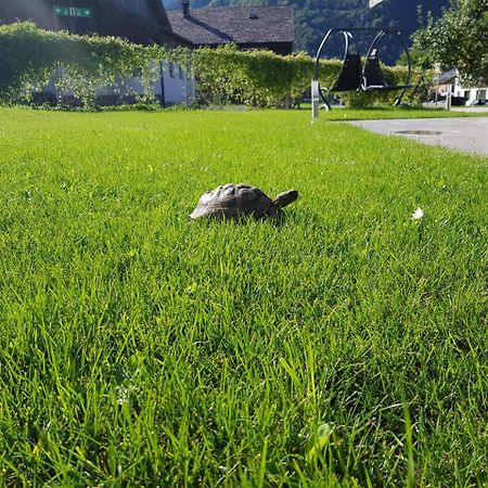 Appartement-Ennemoser Mellau Dış mekan fotoğraf